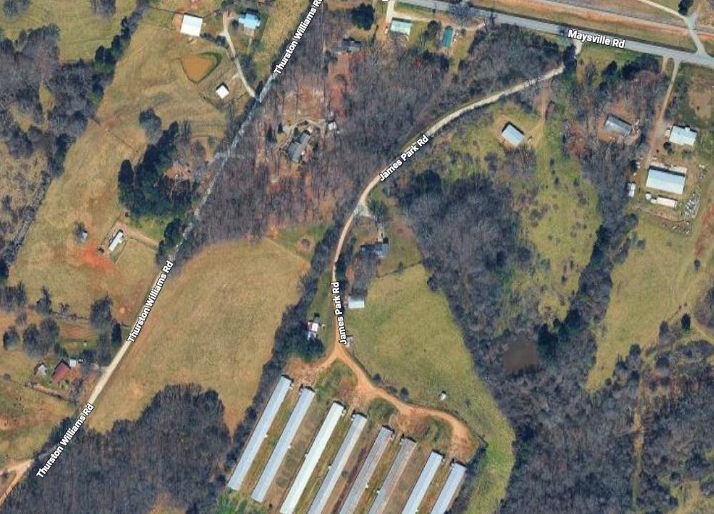 Maysville Poultry & Livestock Farm